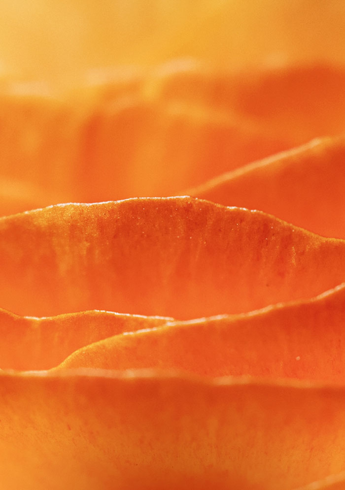 World in Focus – Fielmann